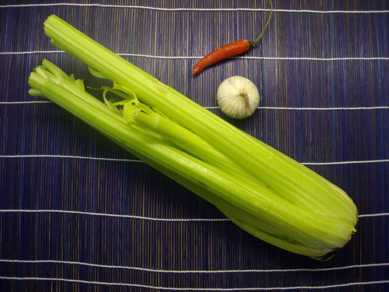 ��������~�������۵�����