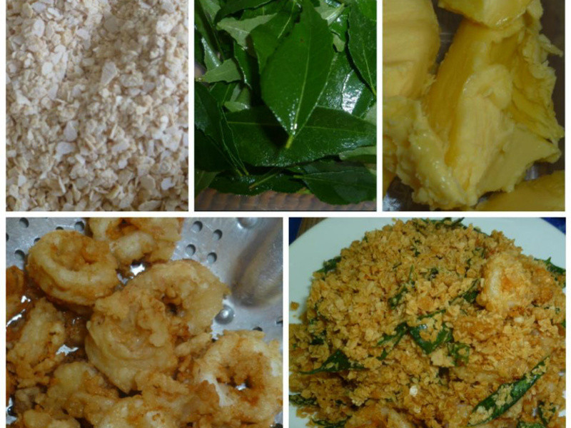 ������Ƭ�о�������