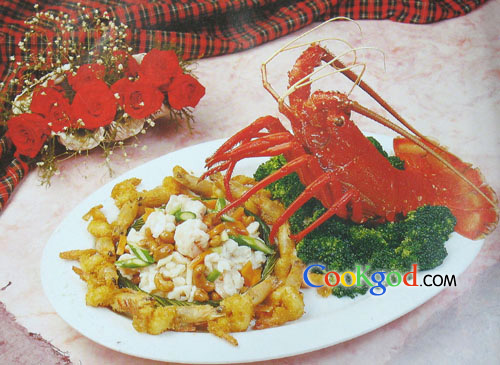 ������Ϻ������