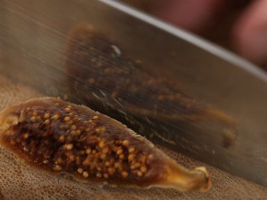 ����˿�Ѽ����������