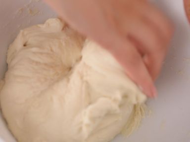 ����˿�Ѽ����������