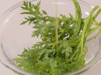 ����˿�Ѽ����������