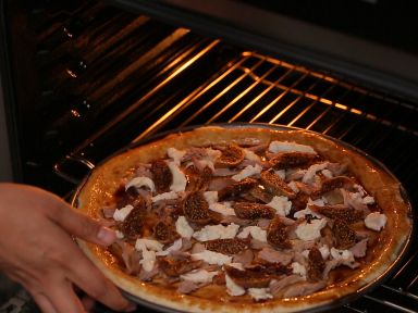 ����˿�Ѽ����������