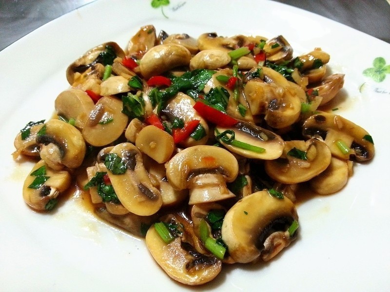 ����Ģ������ʳ������������