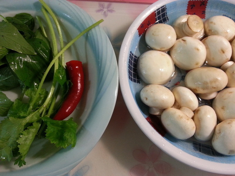 ����Ģ������ʳ������������