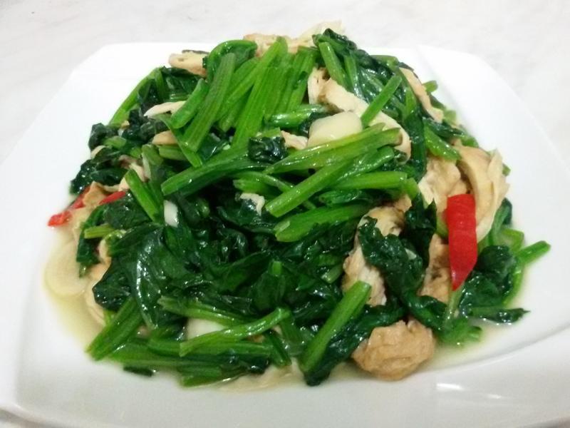 ���˳���Ƥ������