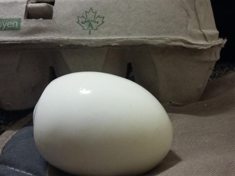 ����Ҳ������������󵰵�����