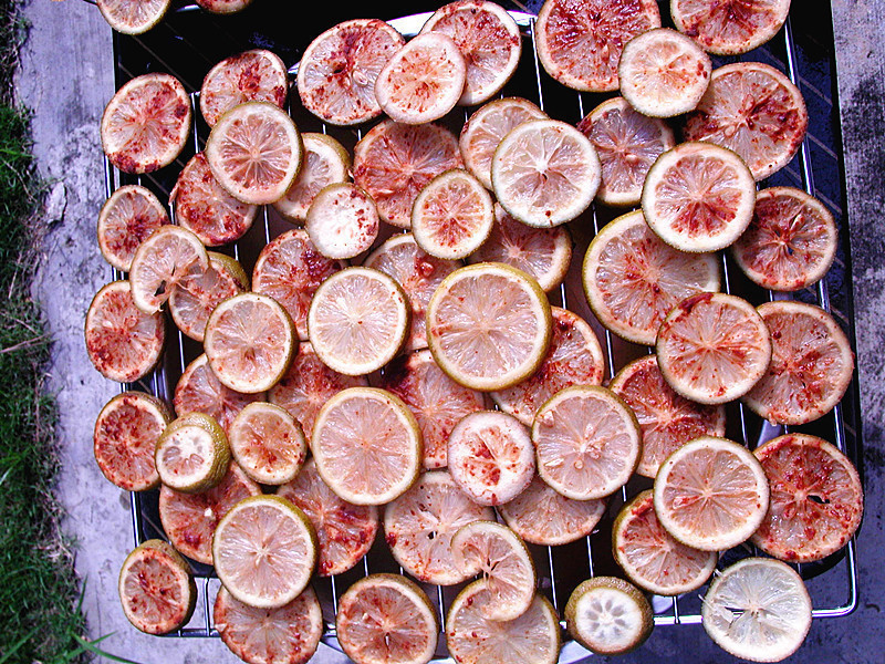 ���Ƹʲ����ʵ�����