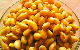 ������ƶ�������