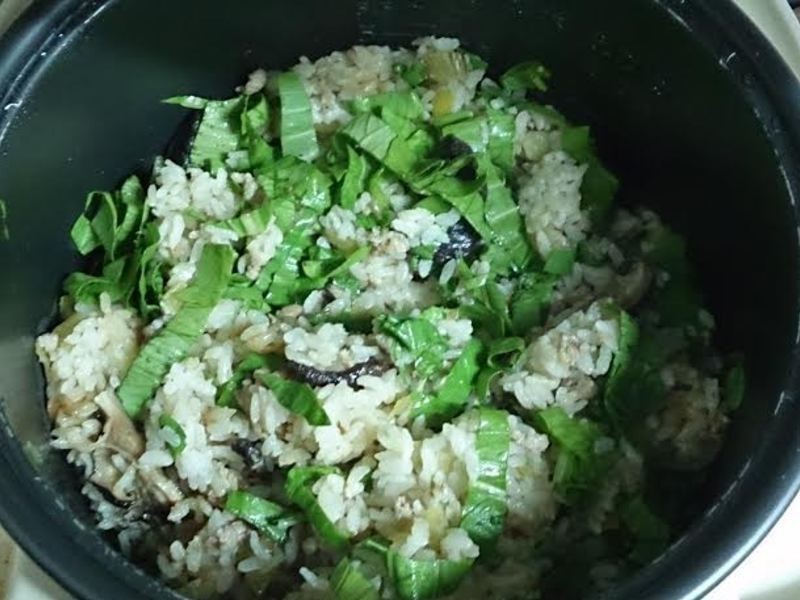 �཭�˷�������