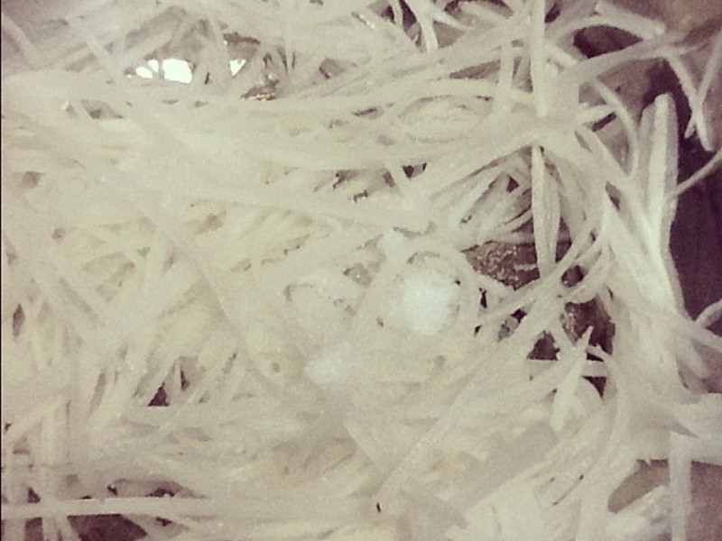 �����հ��ܲ�˿������