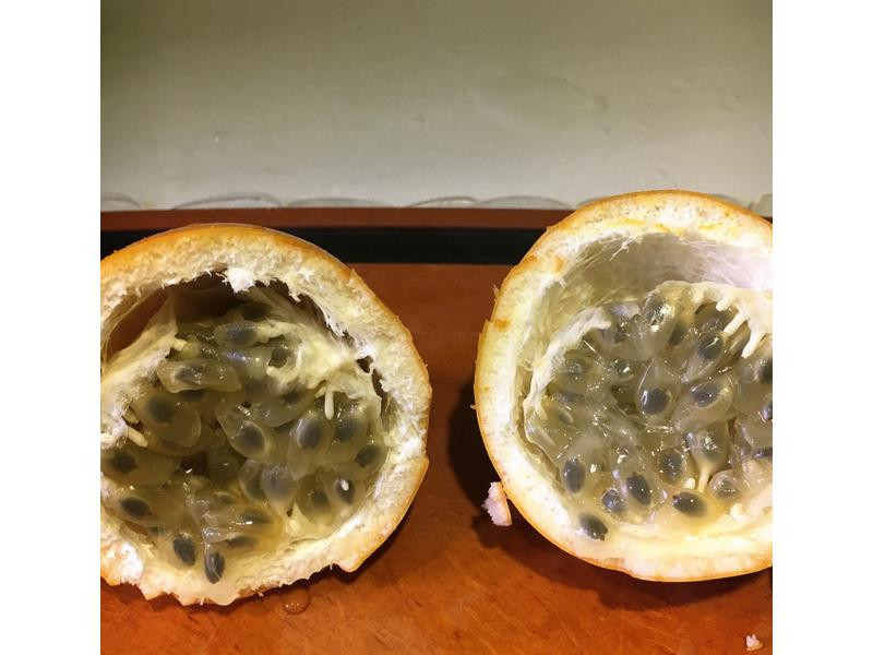 ��弦��ɳ�������������֭������