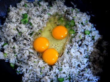 ���ݽ�������������