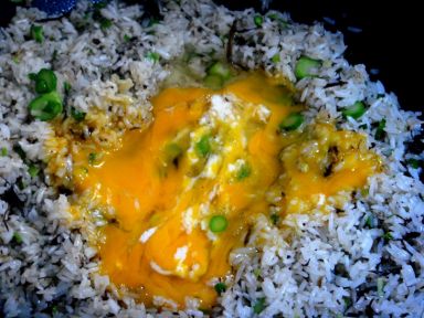 ���ݽ�������������