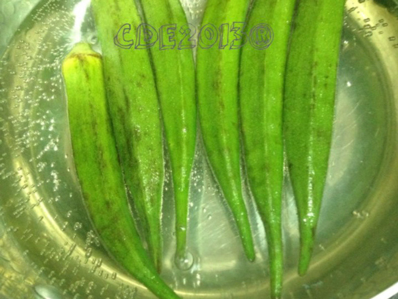 ��ʽ�������������