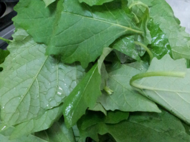 ���㳴�����е�����