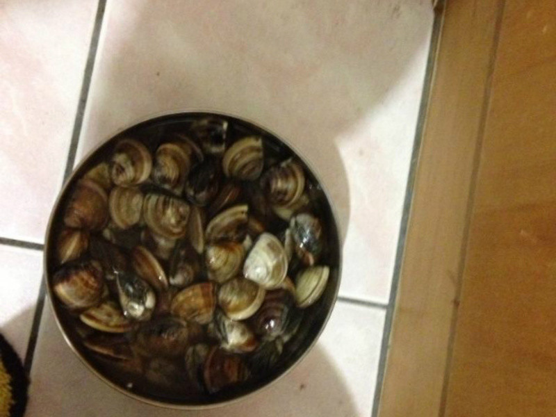 *annalilymami����*-�Ų��������۵�����