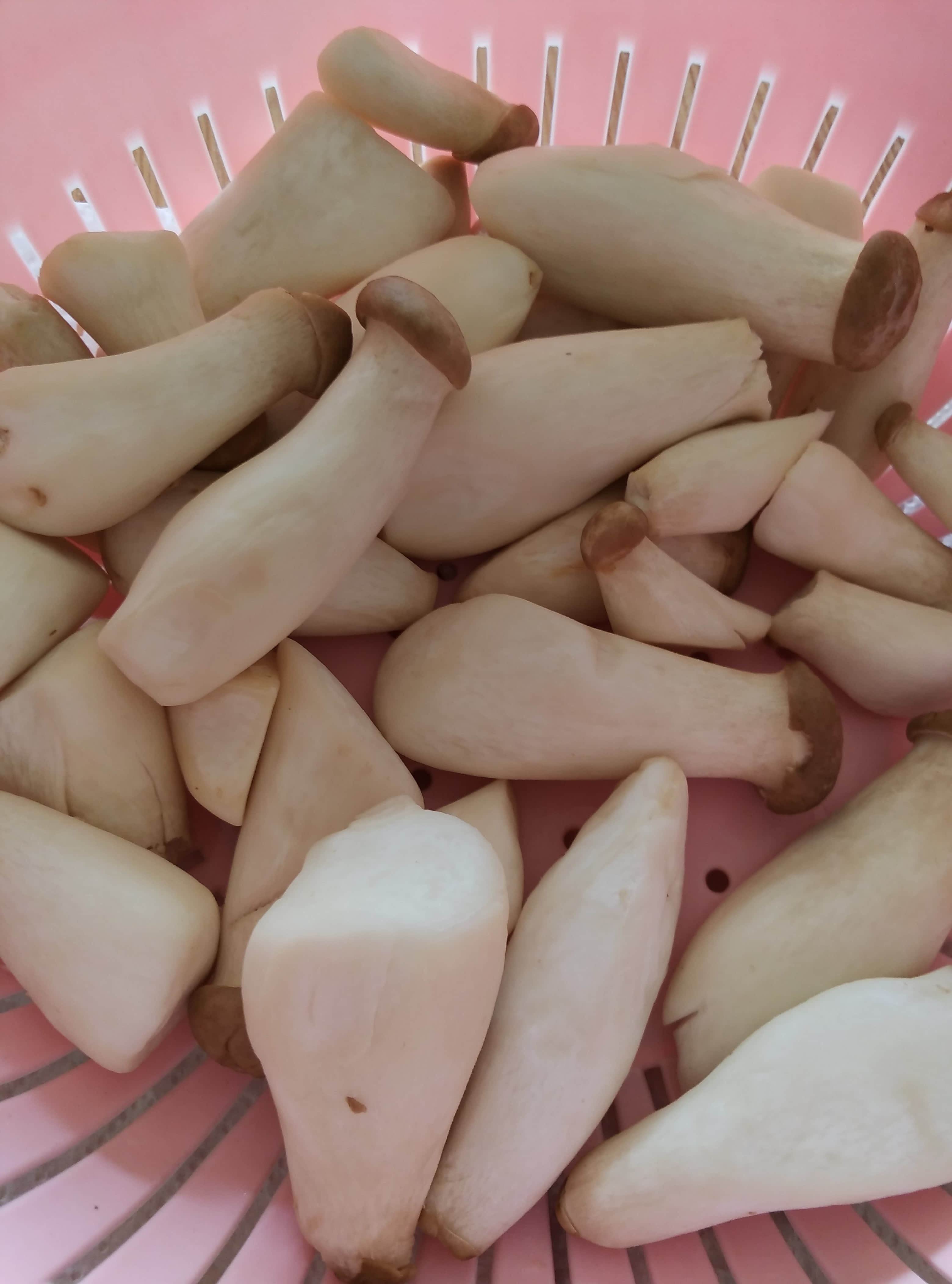 �����ӱ����ɵ�����