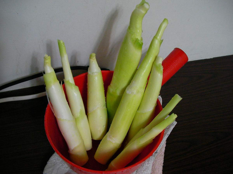 ӭ�����졫��Ƭ�����ȵ�����