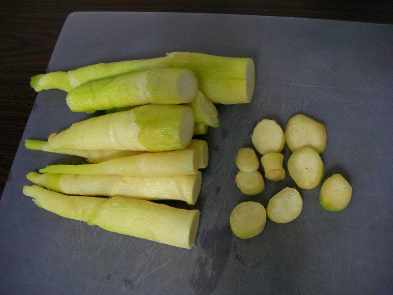 ӭ�����졫��Ƭ�����ȵ�����