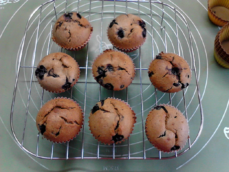 ��֬˫����ݮ���ҵ�����