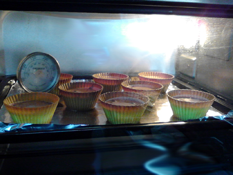 ��֬˫����ݮ���ҵ�����