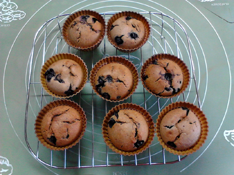 ��֬˫����ݮ���ҵ�����