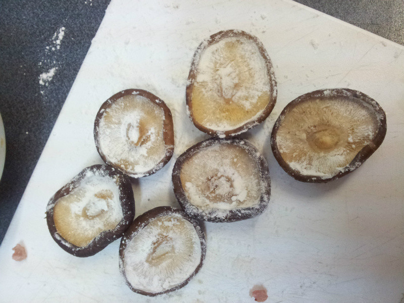 ? �㹽�����������