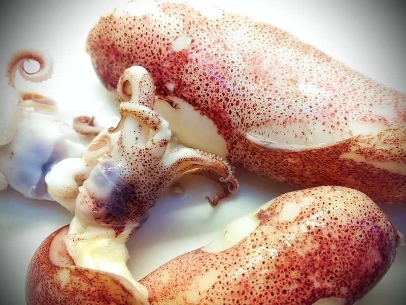 Ϻ�ඹ��͸���-�����������������