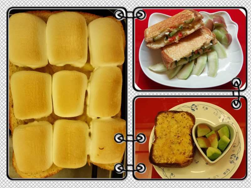 ţ����˾����-Panasonic�������������