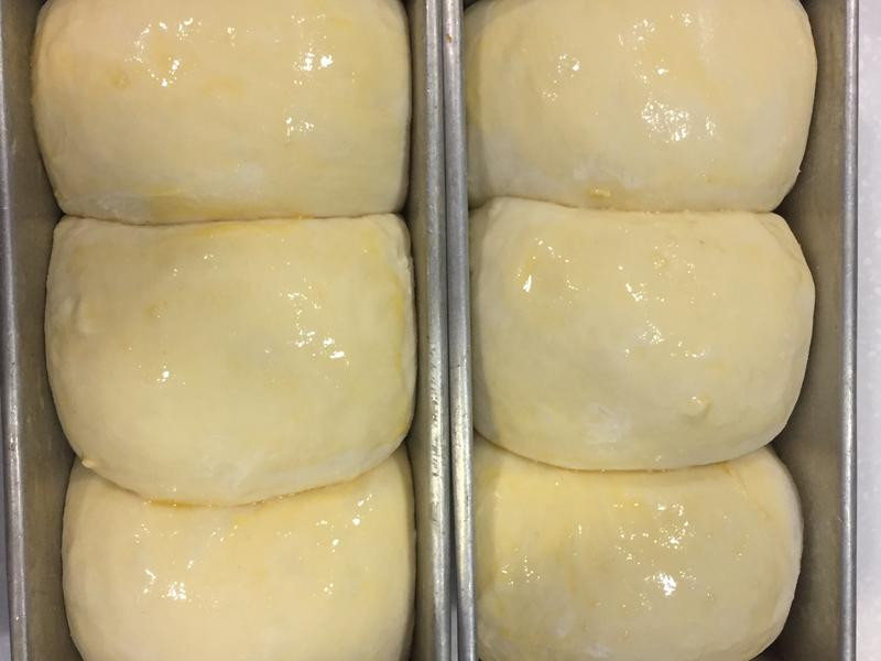 ����Qţ����˾������