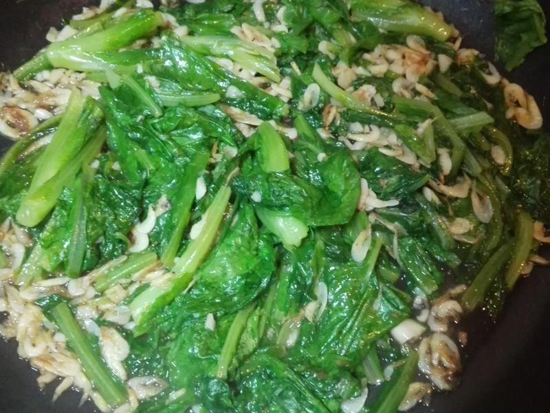 ϺƤ��ݫ�������