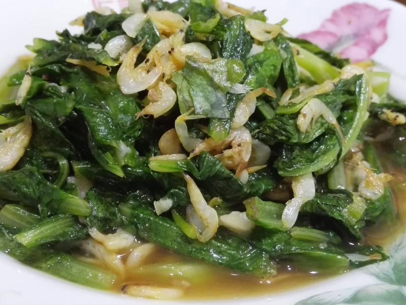 ϺƤ��ݫ�������