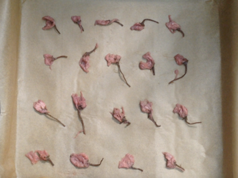 ӣ����ݮ��������