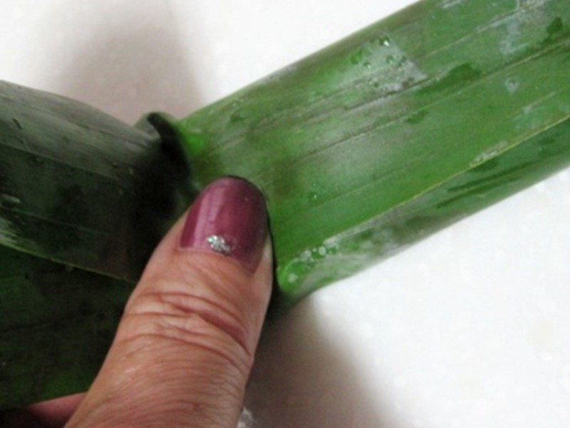 ����Ҷ����ͷҬ��Ŵ�׿�ٯ������