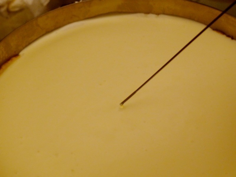 â����԰���ҵ���(�⿾)������