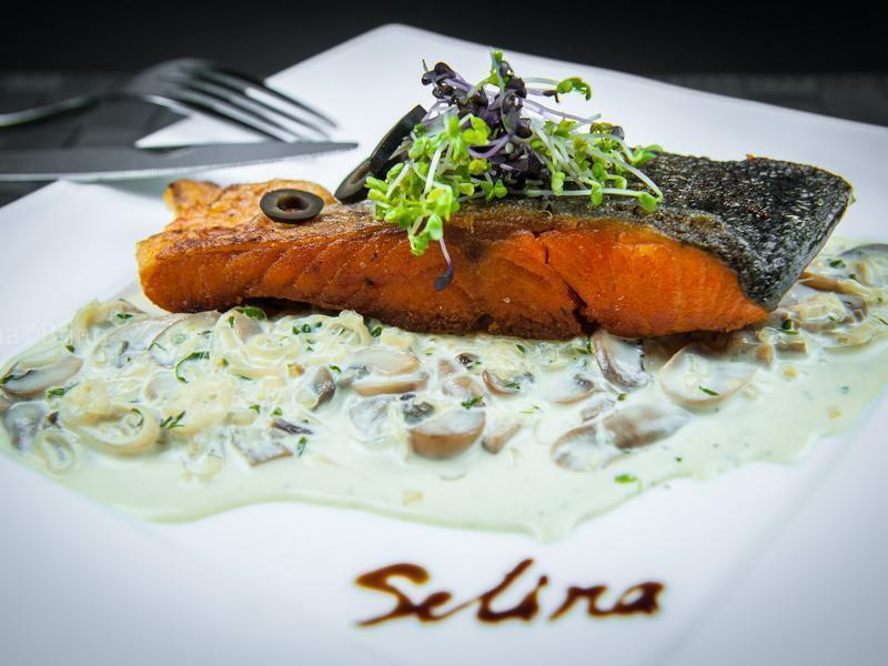 ���������Ģ�����ͽ�������