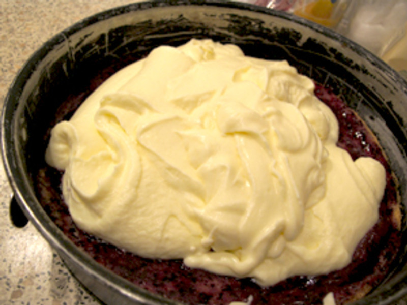 ��ݮ�����ҵ��� �����ձ��������������