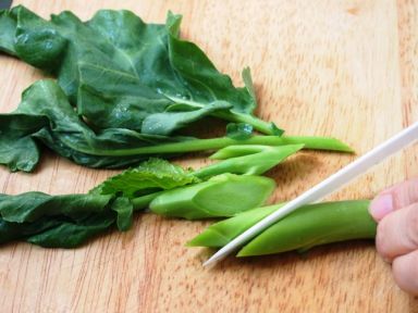 ����յ������������