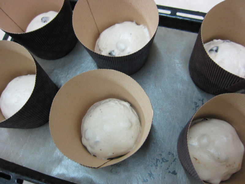 ?�ҵ���������? ʥ��ˮ�����������