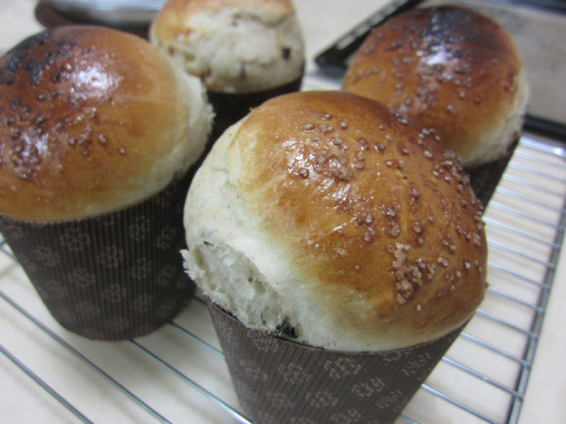 ?�ҵ���������? ʥ��ˮ�����������