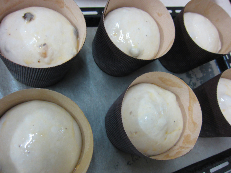 ?�ҵ���������? ʥ��ˮ�����������