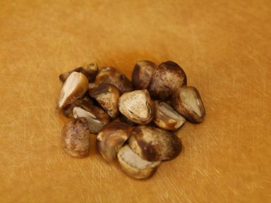 ���㶬�ϵ�����