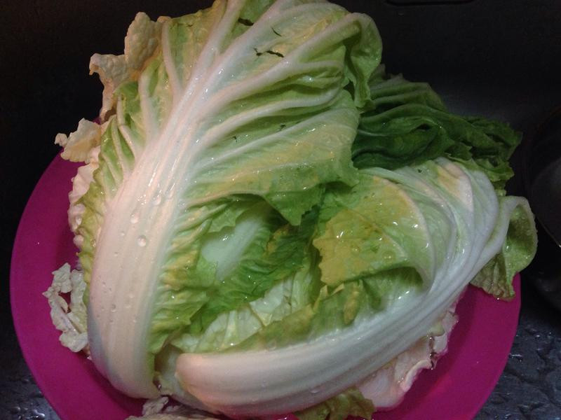 ��ʳ��±�������