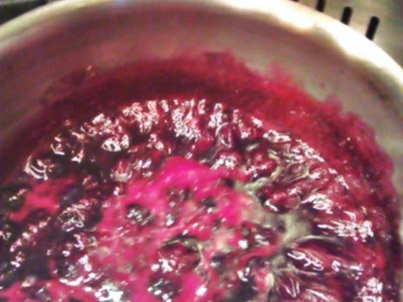 �����������ݮ����������