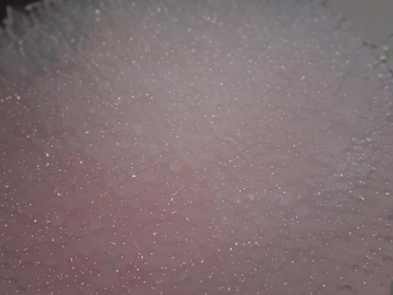 ��â�����׵�����