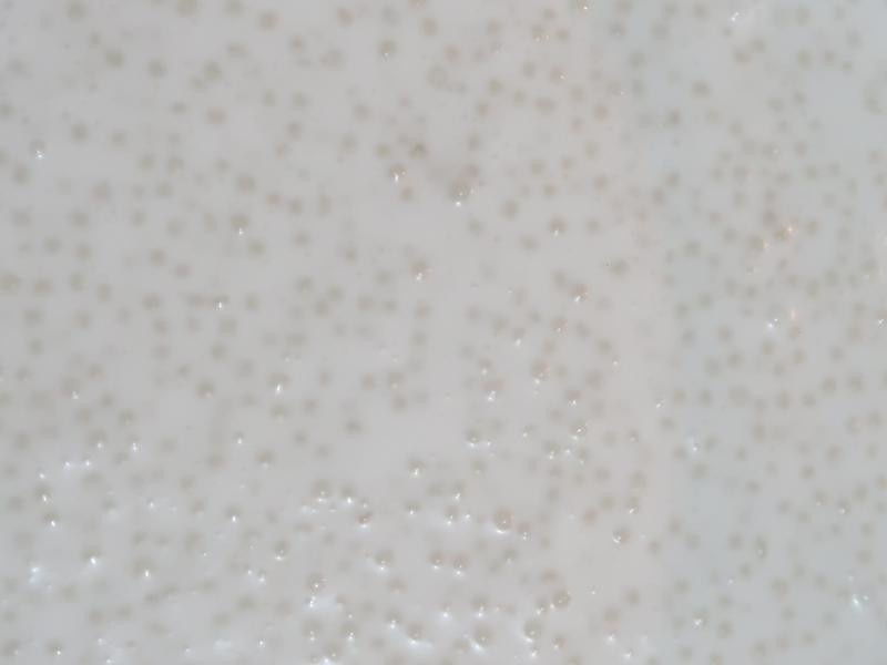 ��â�����׵�����