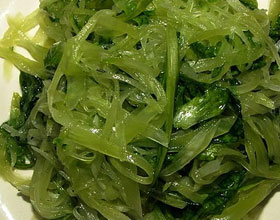 �װ�ݫ�������