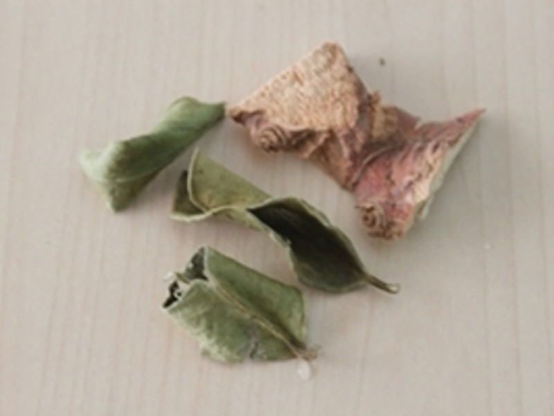 ����缦���������������