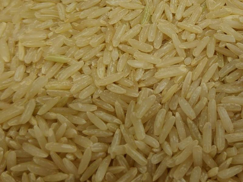 ������׷�������